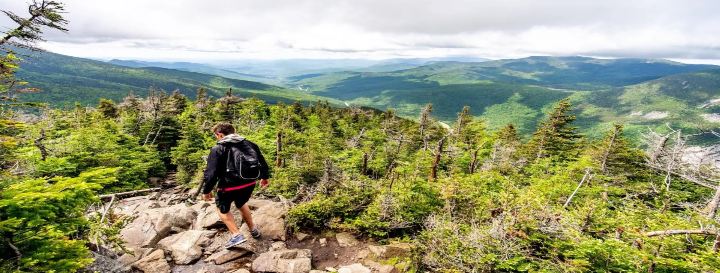 Image for Scenic Hiking